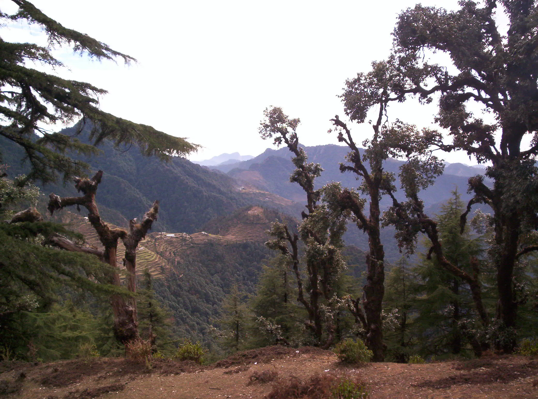 Surkanda Devi Temple Tehri Garhwal - Image 23