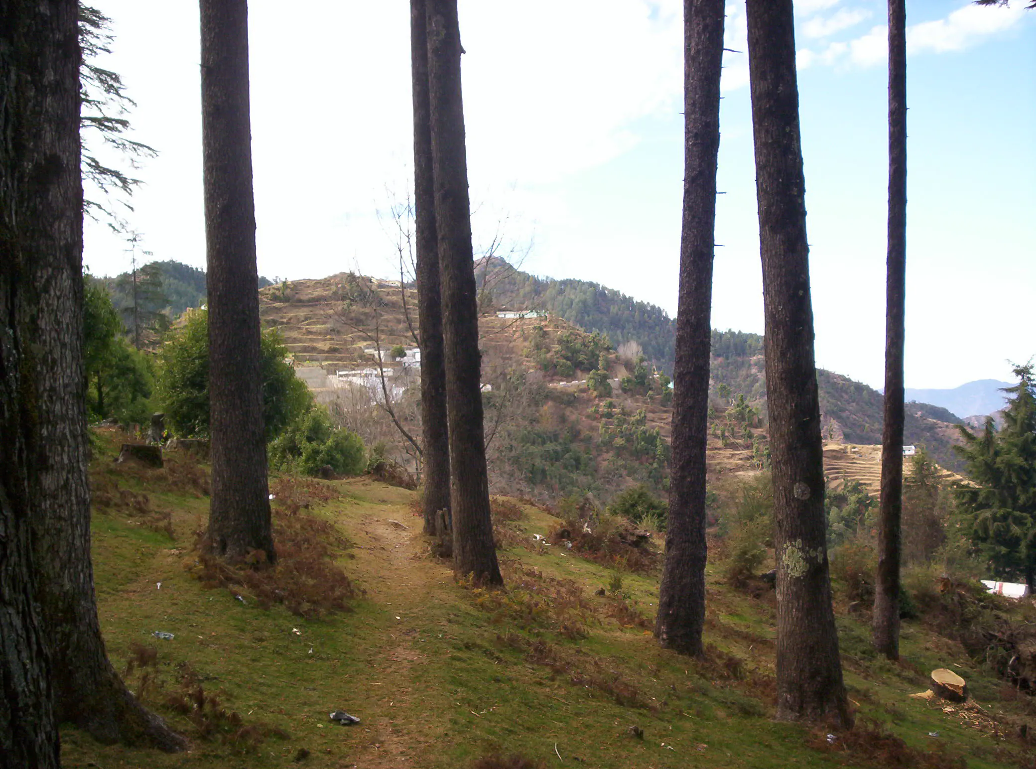Surkanda Devi Temple Tehri Garhwal - Image 24