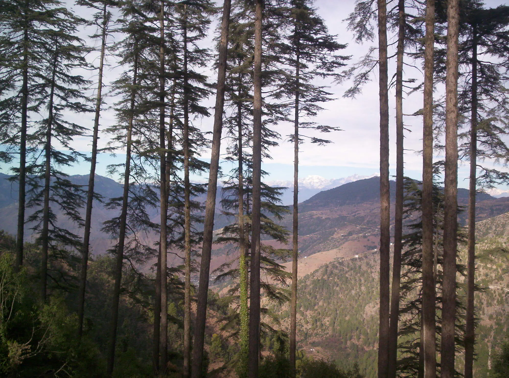 Surkanda Devi Temple Tehri Garhwal - Image 28