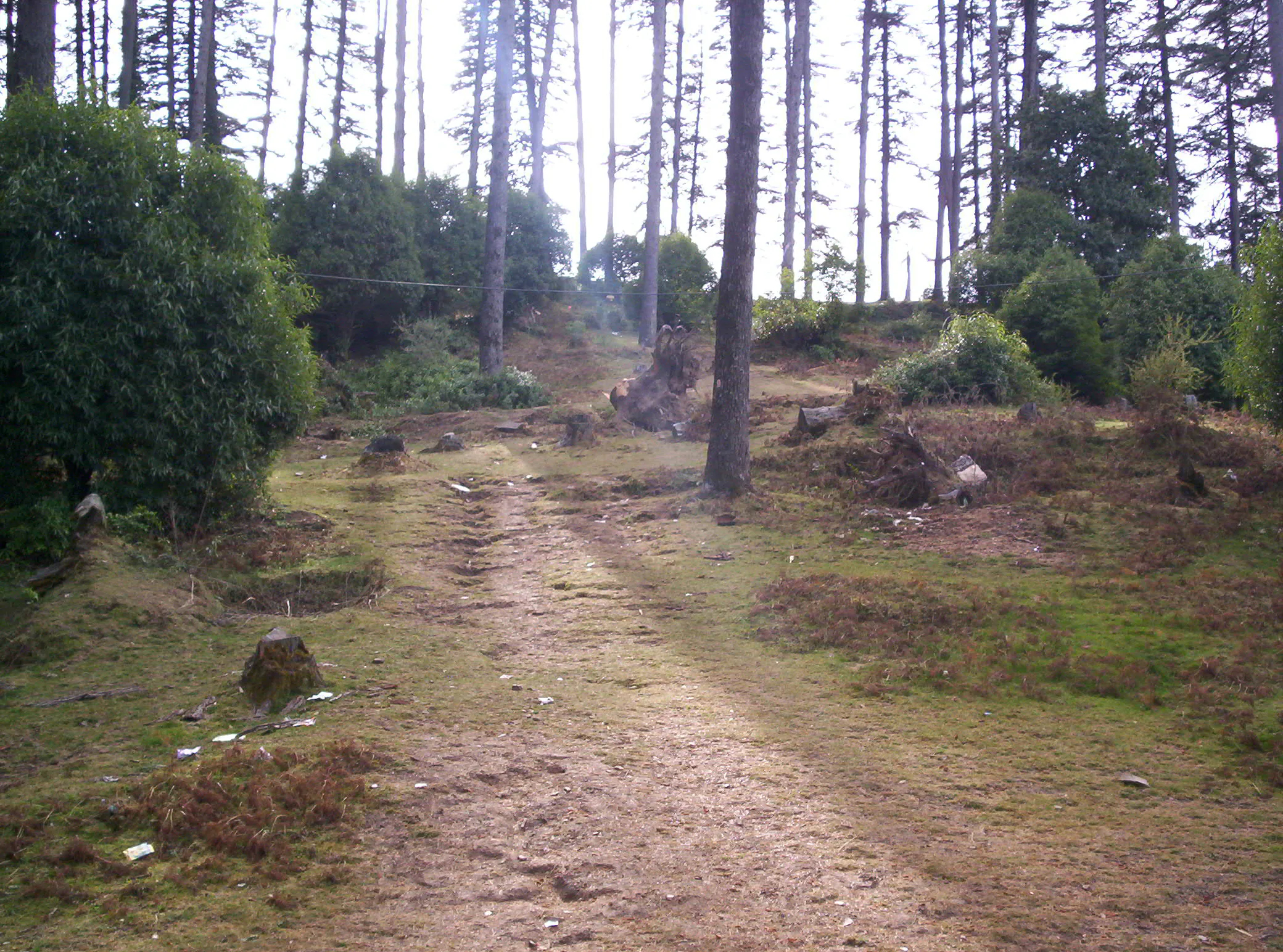 Surkanda Devi Temple Tehri Garhwal - Image 32
