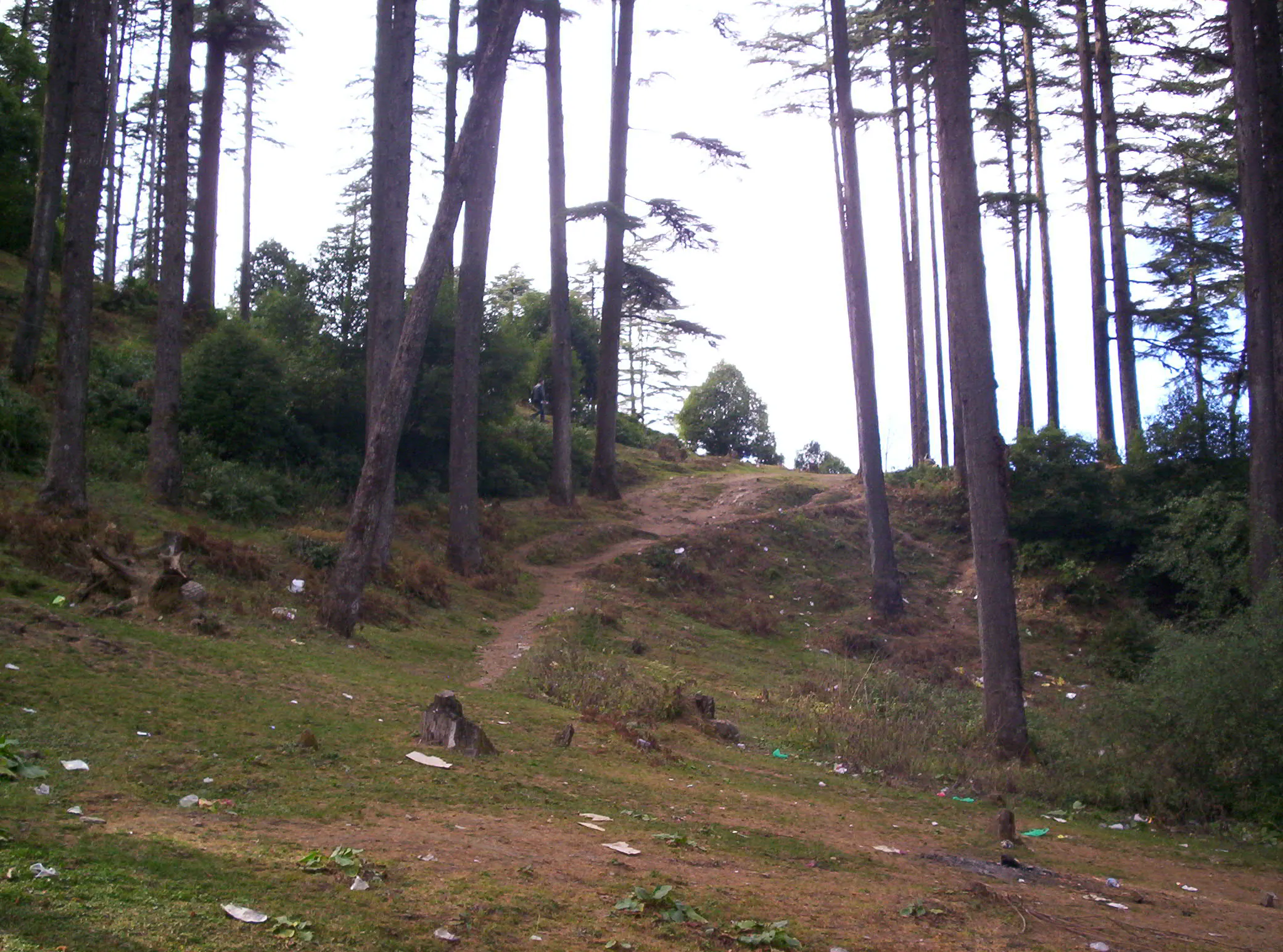Surkanda Devi Temple Tehri Garhwal - Image 31