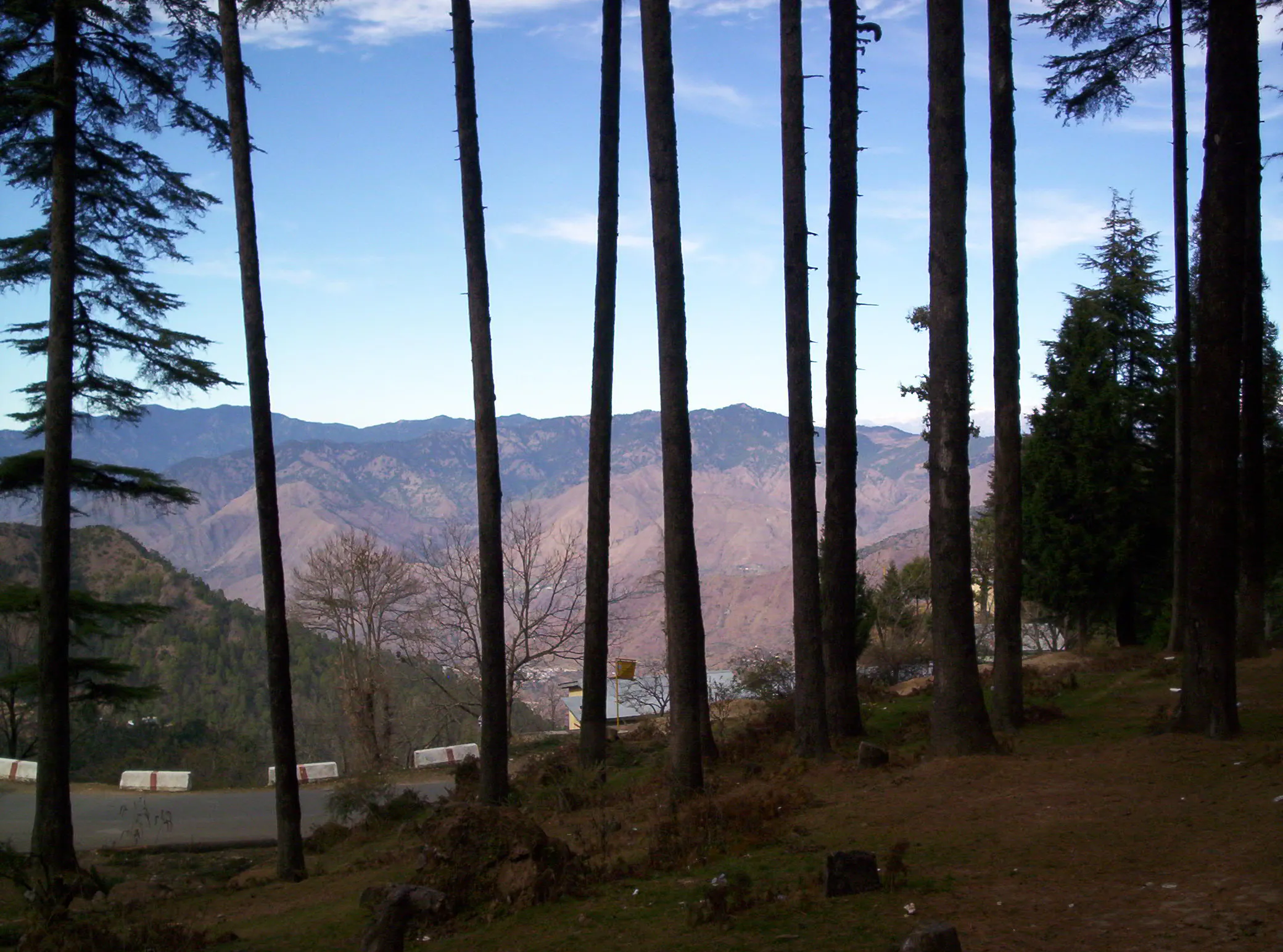 Surkanda Devi Temple Tehri Garhwal - Image 35