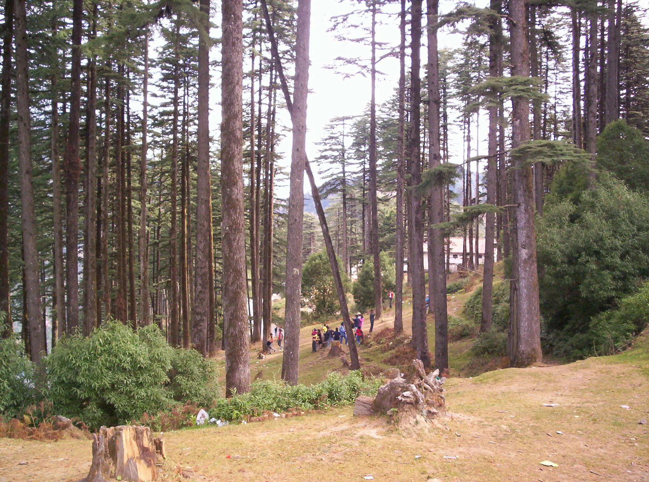 Surkanda Devi Temple Tehri Garhwal - Image 41