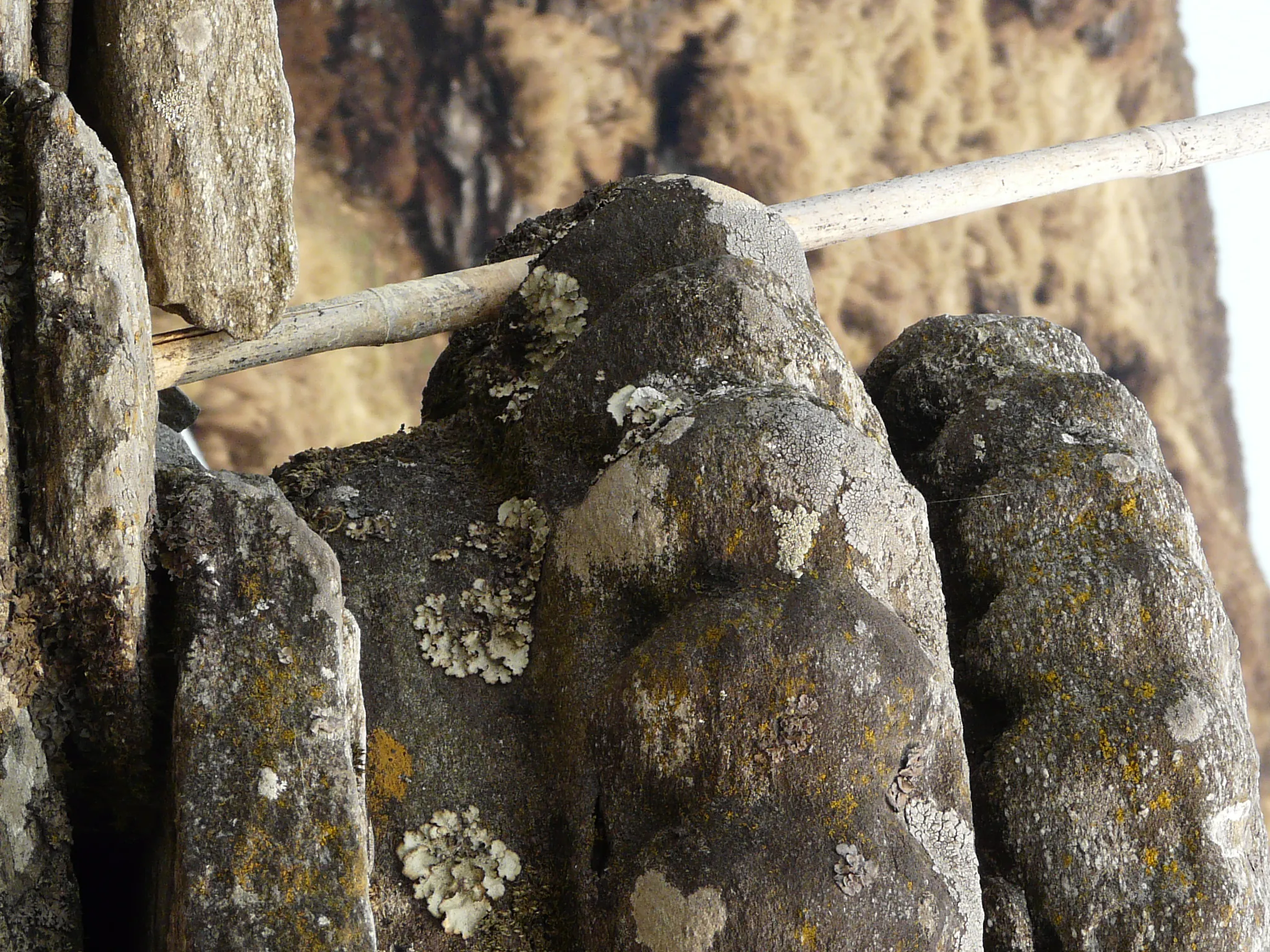 Tungnath Temple Rudraprayag - Image 12