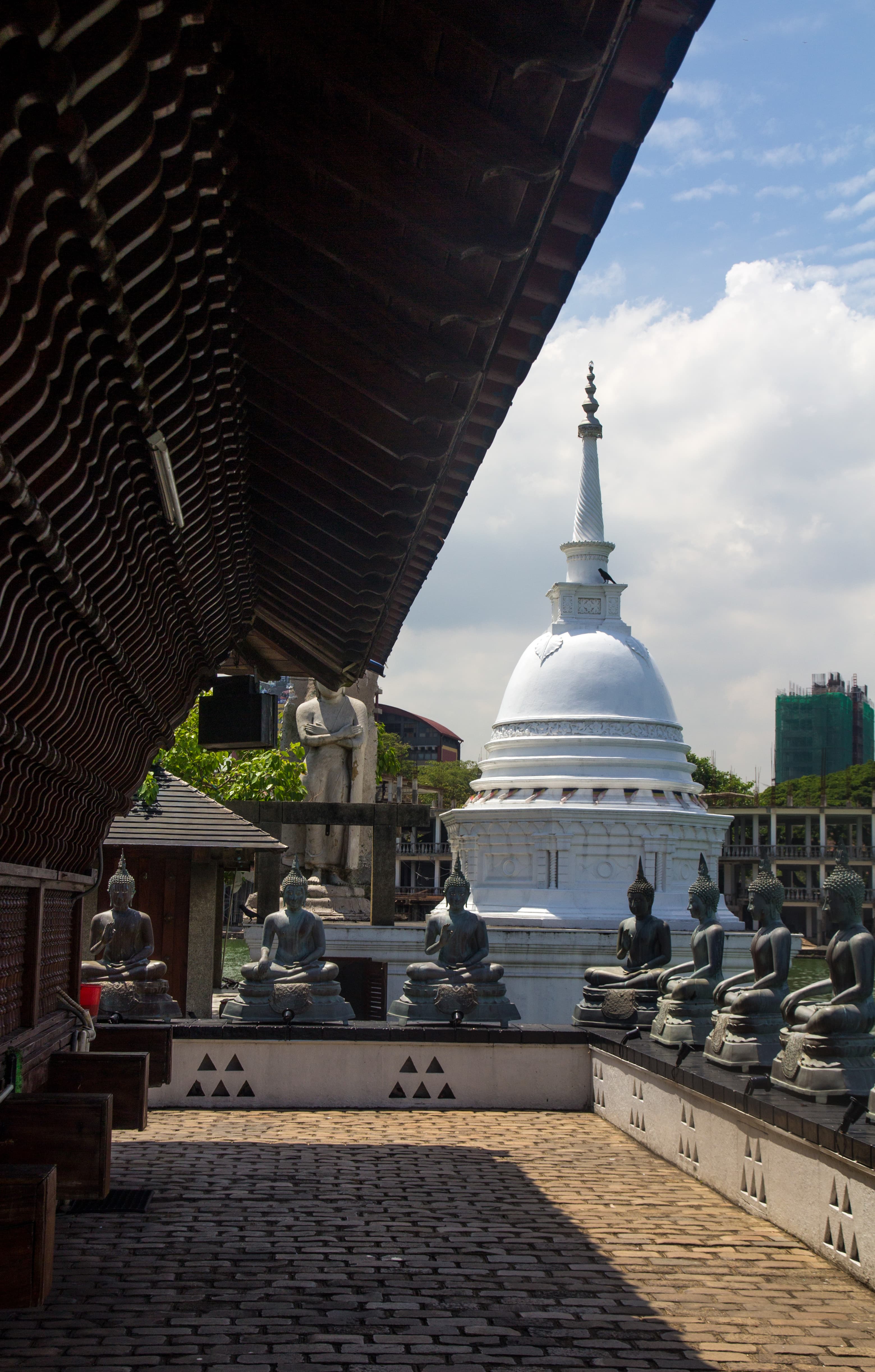 Volunteer at Gangaramaya Temple Colombo Sri Lanka