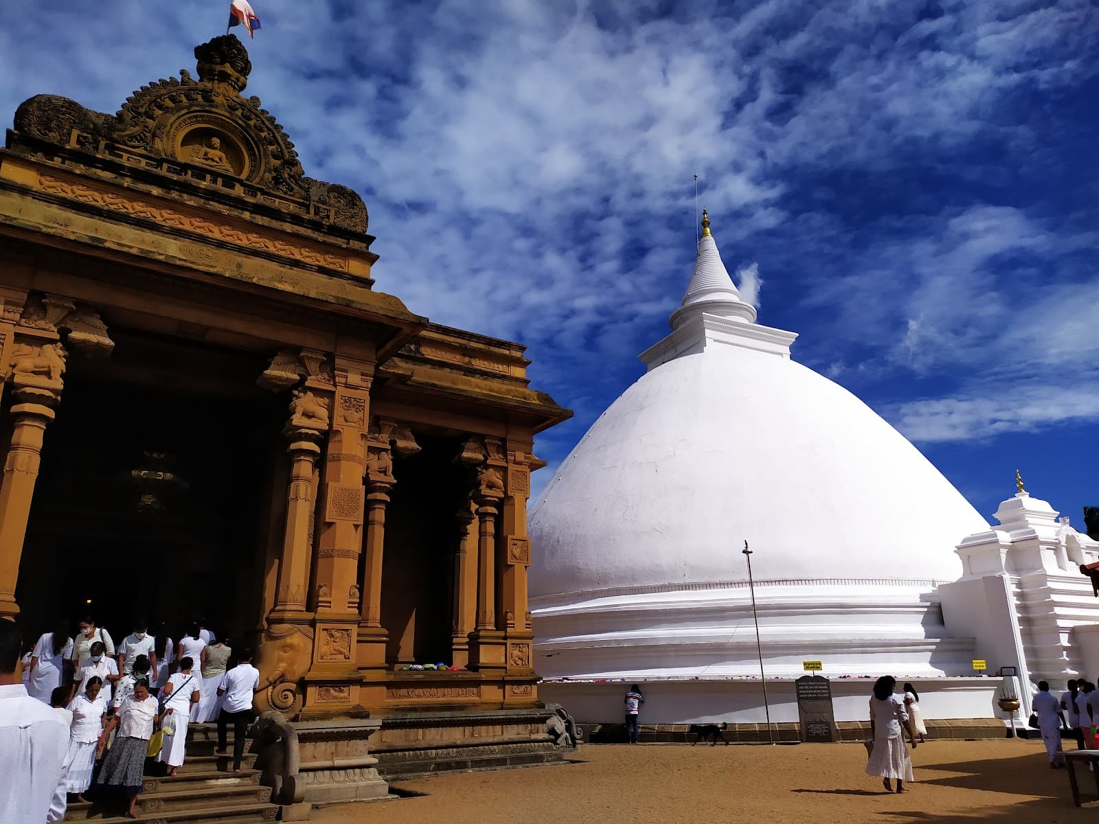 Volunteer at Kelaniya Raja Maha Vihara Colombo Sri Lanka