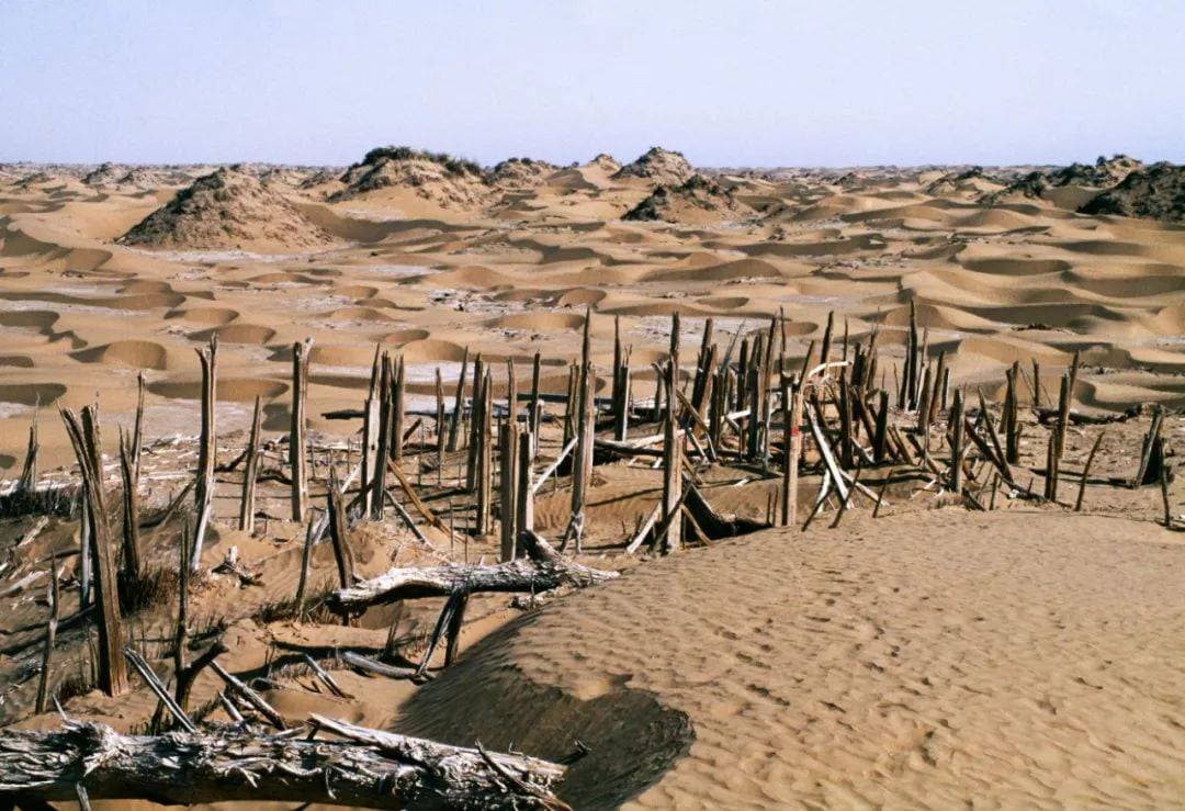 Niya Ruins Minfeng Xinjiang China archaeological site in Niya Site, Minfeng County, Hotan Prefecture, Xinjiang, China, Xinjiang - Gandhara-Kushan architecture style, Indian Buddhist architecture style, Central Asian Oasis architecture style, Kroraina Kingdom architecture style (Kushan Period) - thumbnail